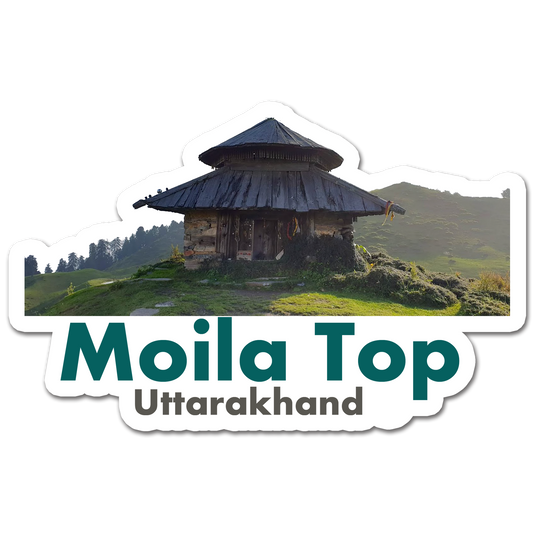 ShopTwiz Moila Top (Uttrakhnad) Awesome City Lovely Door Magnets And Fridge Magnet