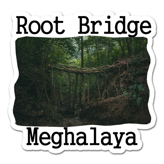 ShopTwiz Root Bridge 2 (Meghalaya) Awesome City Lovely Door Magnets And Fridge Magnet