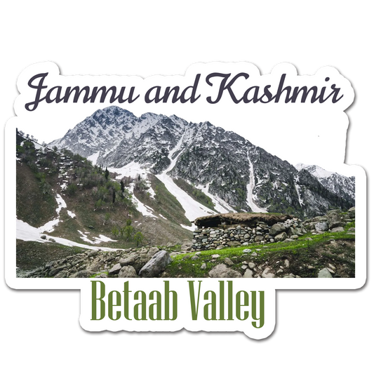 ShopTwiz  Betab Valley 3 (Jammu and Kashmir) Awesome City Lovely Door Magnets And Fridge Magnet