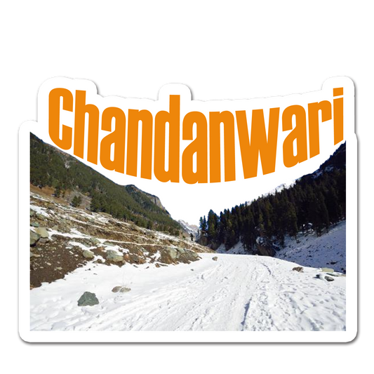 ShopTwiz Chandanwari (Jammu & Kashmir) Awesome City Lovely Door Magnets And Fridge Magnet