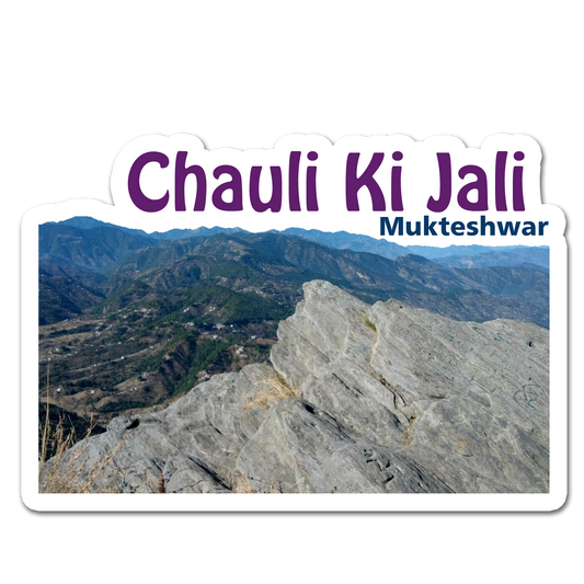 ShopTwiz Chauli Ki Jali (Uttarakhand ) Awesome City Lovely Door Magnets And Fridge Magnet