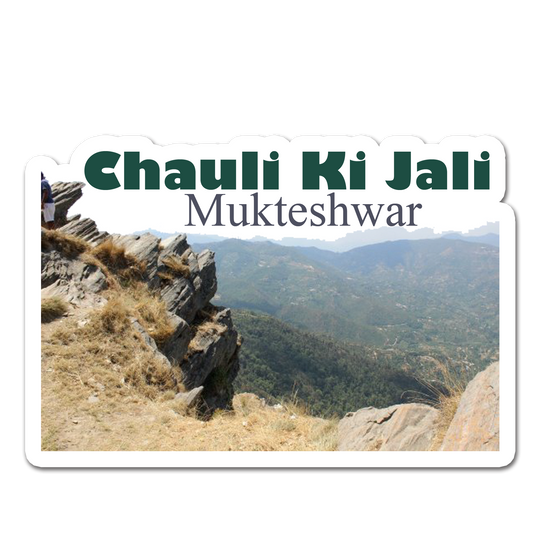 ShopTwiz Chauli Ki Jali 2 (Uttarakhand ) Awesome City Lovely Door Magnets And Fridge Magnet