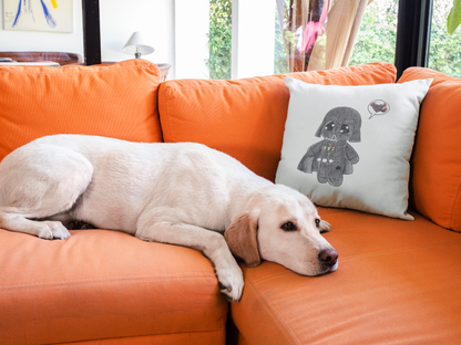 Star Wars Printed Cushion