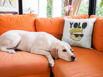 Yolo Printed Cushion