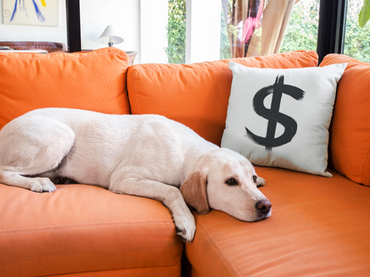 Dollar Printed Cushion