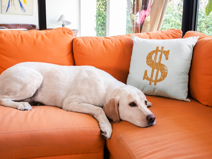 Dollar Printed Cushion