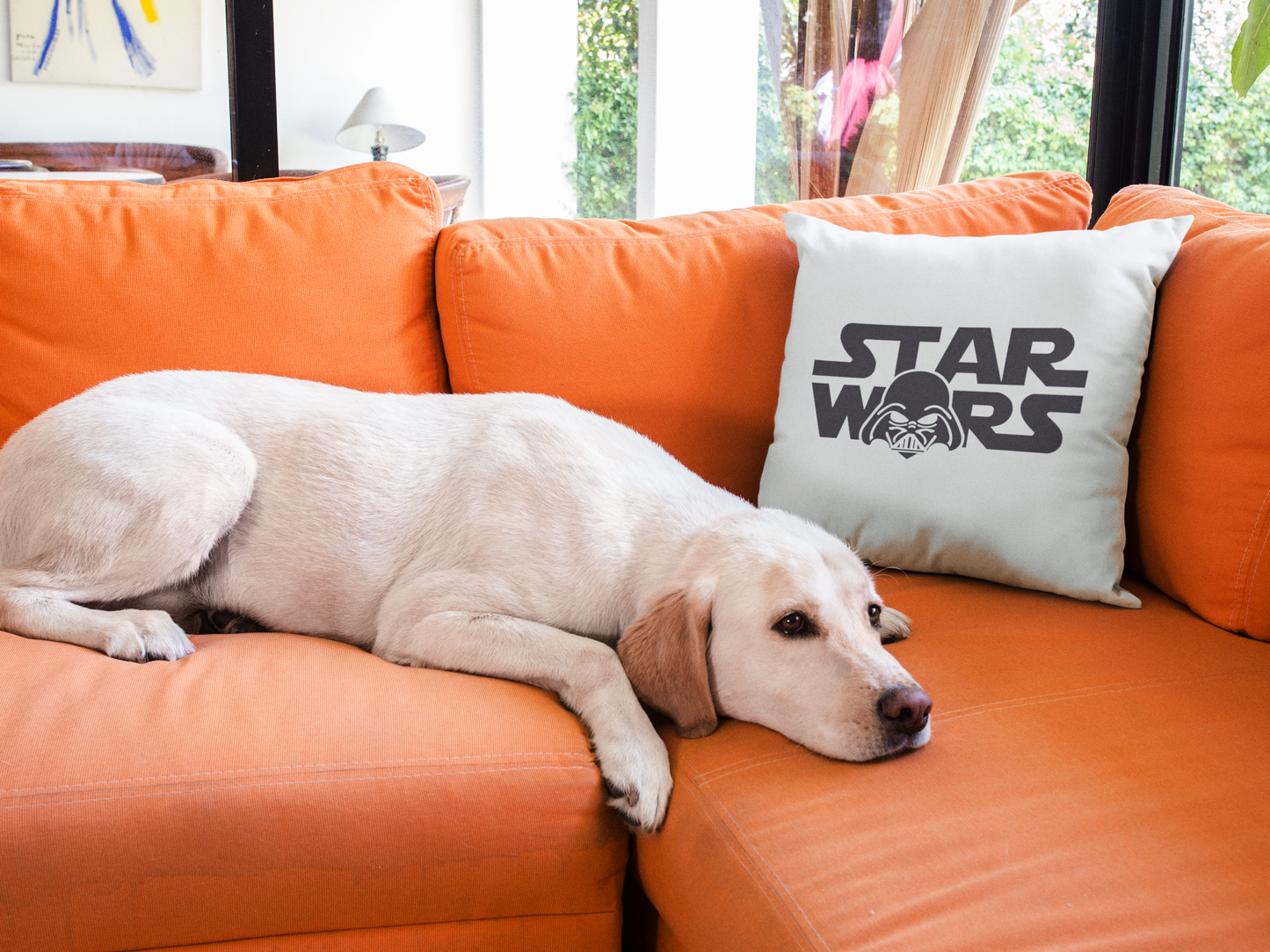 Star Wars Printed Cushion
