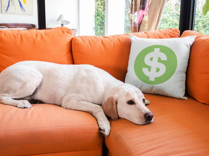 Dollar Printed Cushion