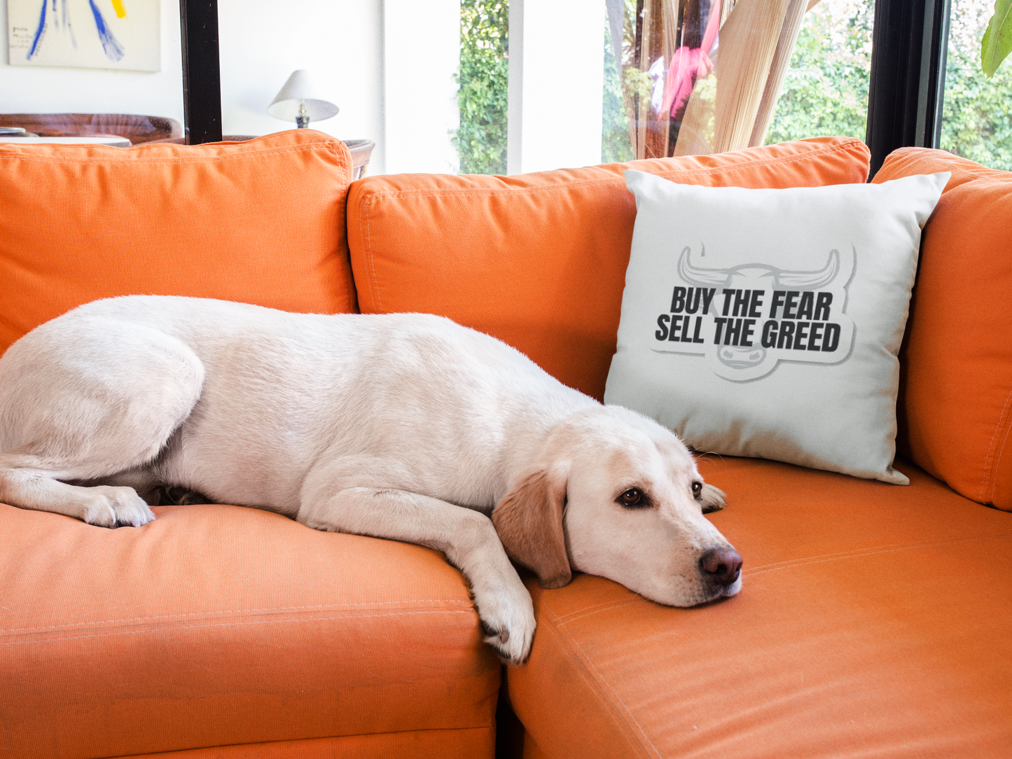 Stormtrooper Printed Cushion