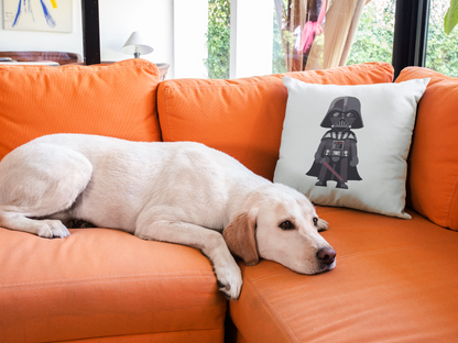 Star Wars Printed Cushion