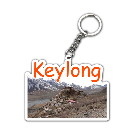 Keylong  Key chain ( Set of 2 )