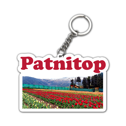 Patnitop Key Chain (Set of 2)