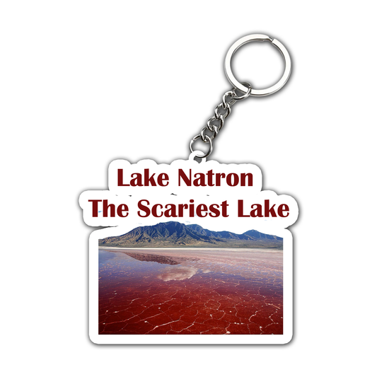 Salar De Uyuni – Explore the White Salt Bed Key Chain (Set of 2)