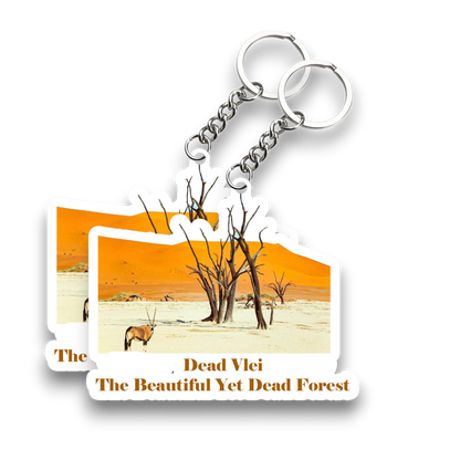 Dead vlei The Beautiful Yet Dead Forest Key Chain (Set of 2)