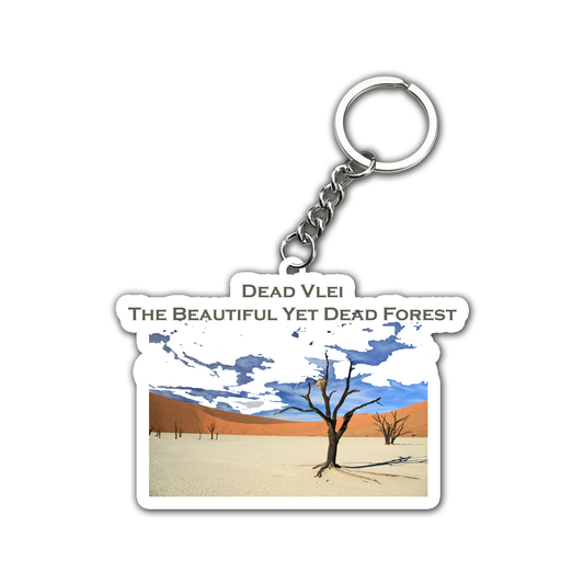 Dead Vlei – The Beautiful Yet Dead Forest Key Chain (Set of 2)