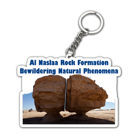 Bewildering Natural Phenomena  Key Chain (Set of 2)
