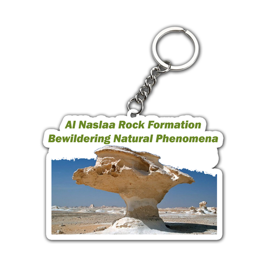 Bewildering Natural Phenomena Key Chain (Set of 2)