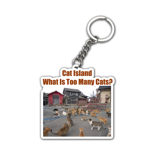 What is too Many Cats  Key Chain (Set of 2)