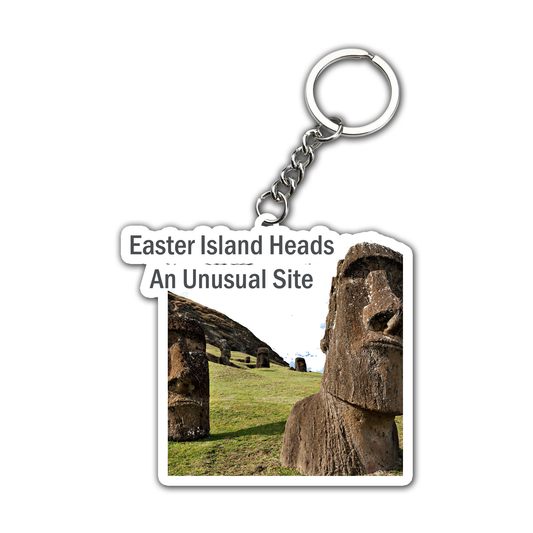 Unusual Site Key Chain (Set of 2)