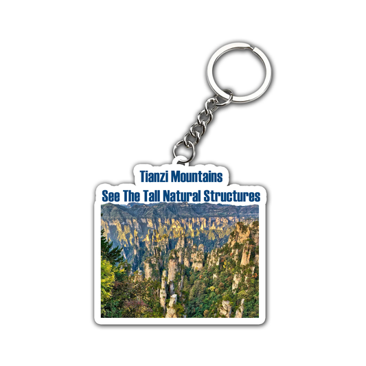 See The Tell Natural Structures  Key Chain (Set of 2)