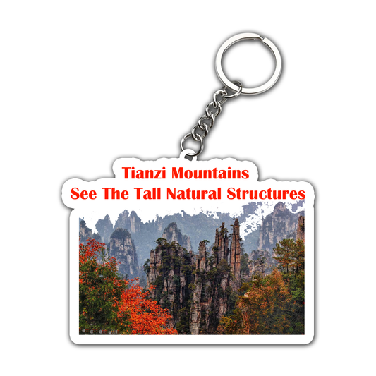 See The Tell Natural Structures Key Chain set