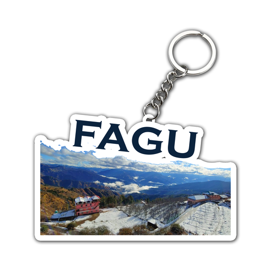 Beautiful  Fagu Key Chain set.