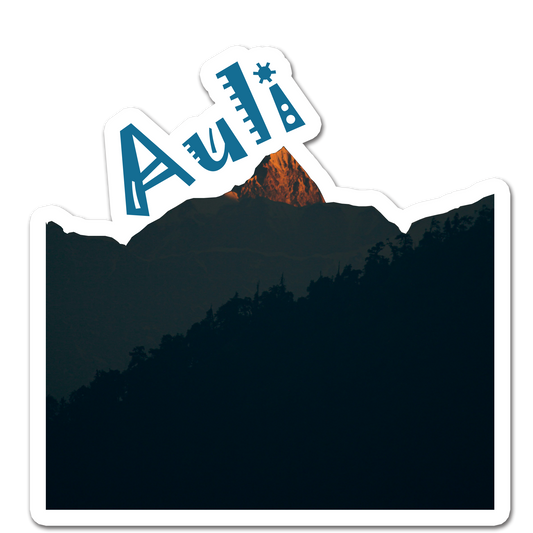 ShopTwiz Auli 2 (Uttarakhand) Awesome City Lovely Door Magnets And Fridge Magnet