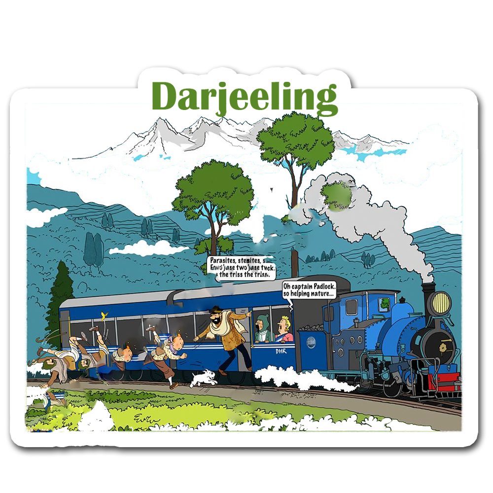 ShopTwiz Darjeeling Best City Lovely Door Magnets And Fridge Magnet