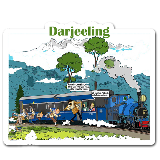 ShopTwiz Darjeeling Best City Lovely Door Magnets And Fridge Magnet