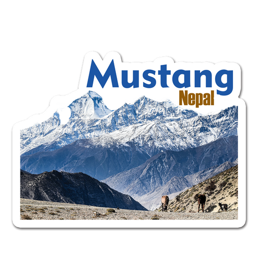 ShopTwiz Mustang 2 (Nepal) Awesome City Lovely Door Magnets And Fridge Magnet