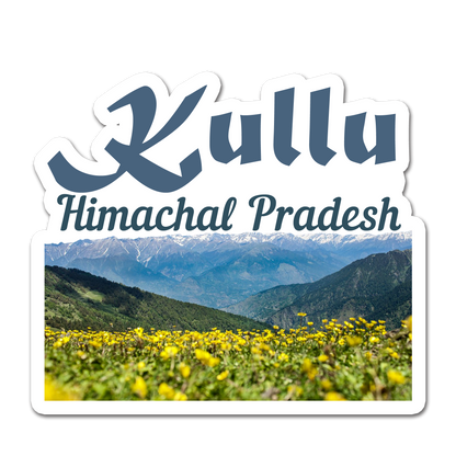 ShopTwiz Kullu (Himachal Pradesh) Awesome City Lovely Door Magnets And Fridge Magnet