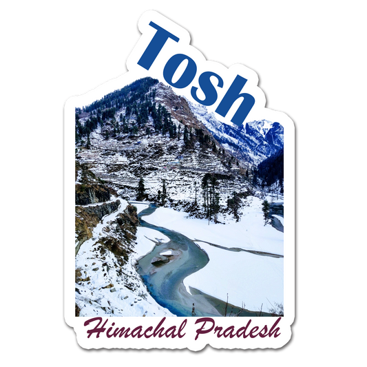 ShopTwiz Tosh (Himachal Pradesh) Awesome City Lovely Door Magnets And Fridge Magnet