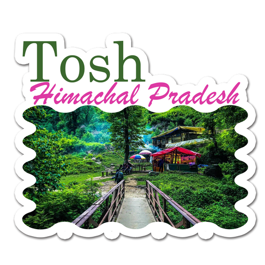 ShopTwiz Tosh 2 (Himachal Pradesh) Awesome City Lovely Door Magnets And Fridge Magnet