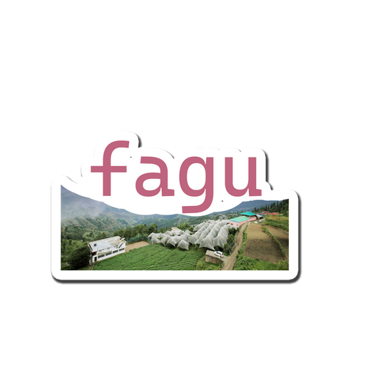 Fagu Decorative Souvenir  Fridge Magnet