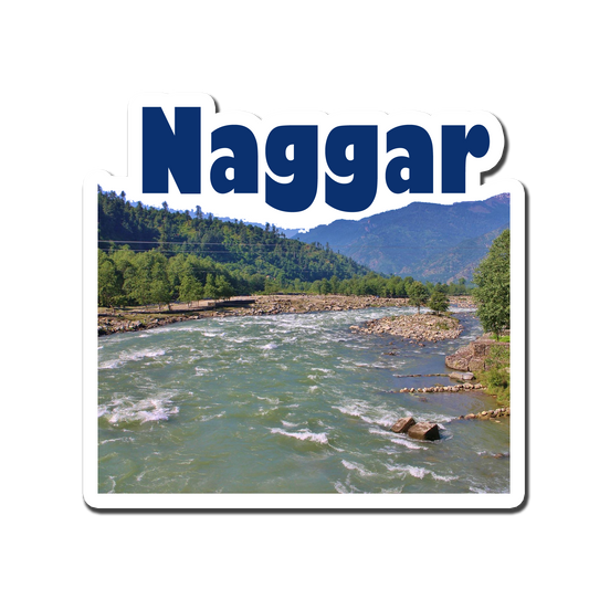 Naggar Decor Souvenir Fridge Magnet