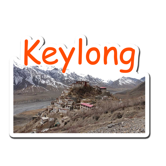 KeyLong Beautiful Souvenir Fridge Magnet