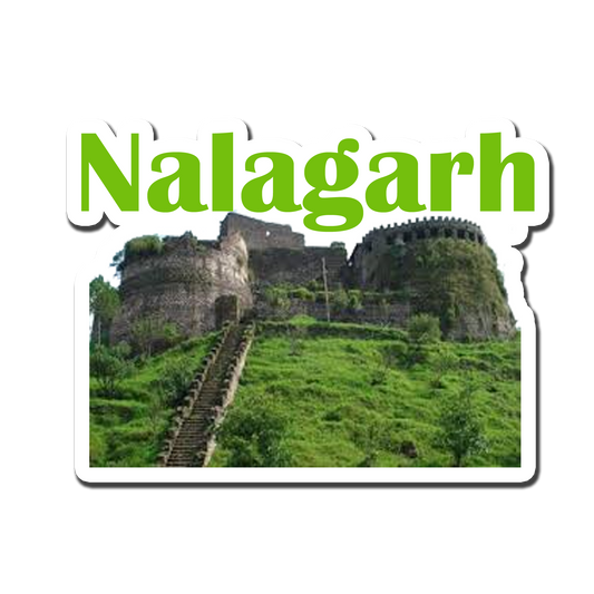 Nalagarh Decorative Souvenir Fridge Magnet