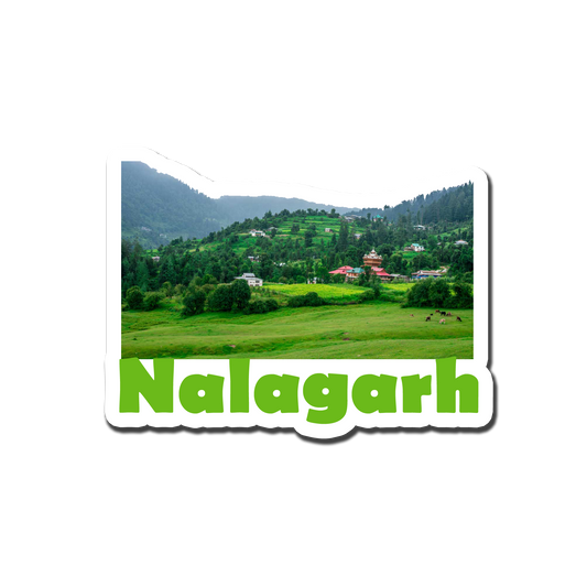 Nalagarh Awesome Souvenir Fridge Magnet