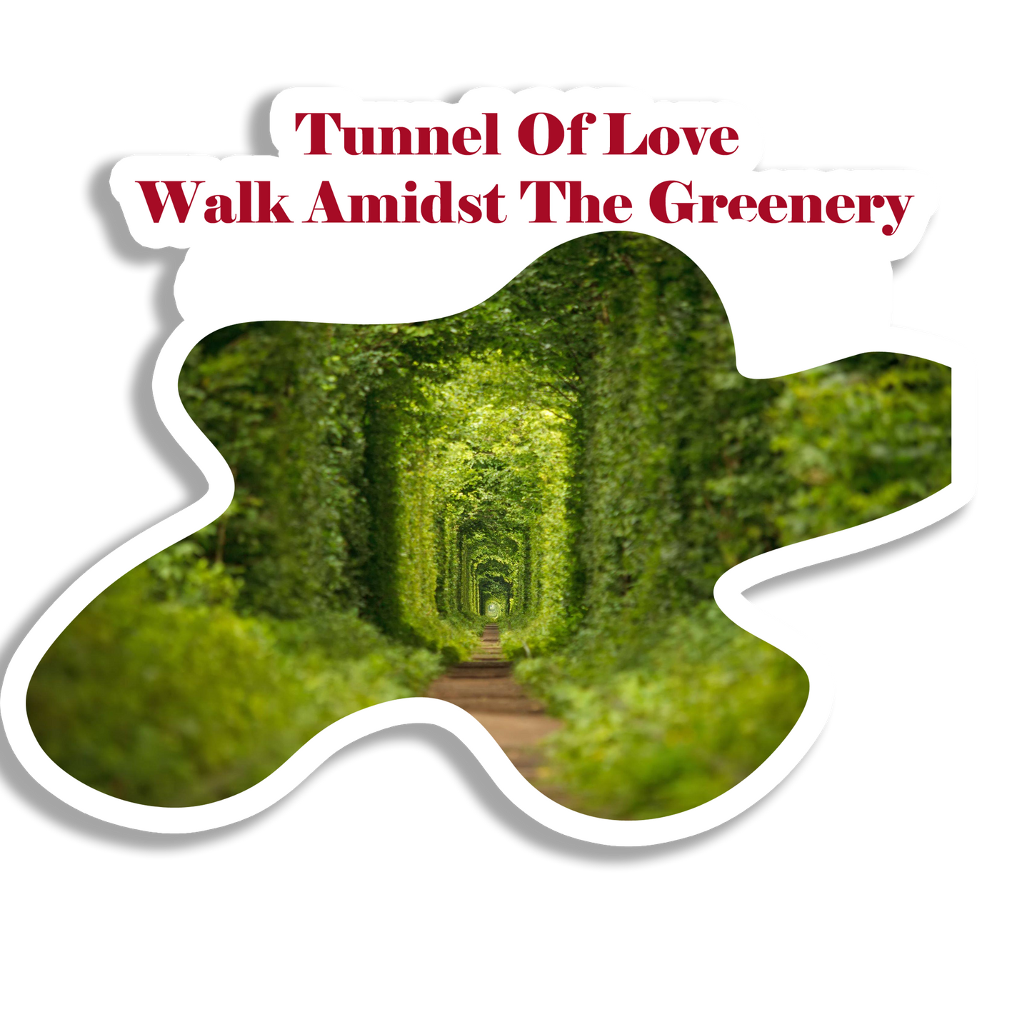 Tunnel Of Love Beautiful  Souvenir  Fridge Magnet