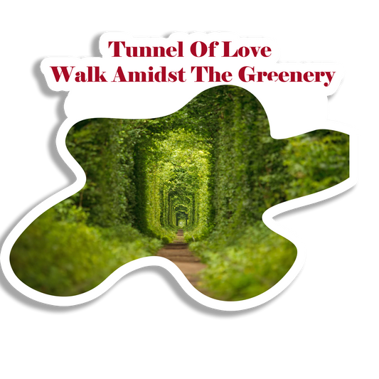 Tunnel Of Love Beautiful  Souvenir  Fridge Magnet