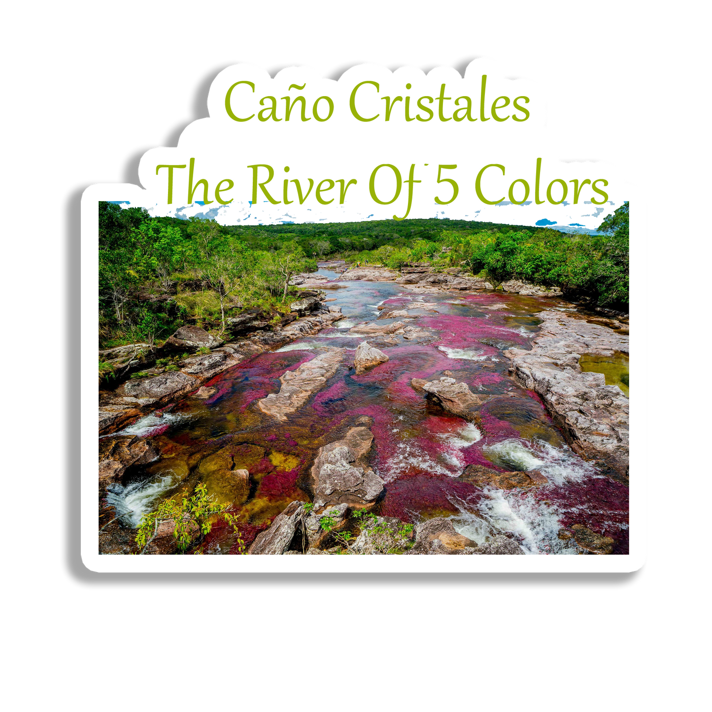 Cano Cristales Scenic  Souvenir  Fridge Magnet