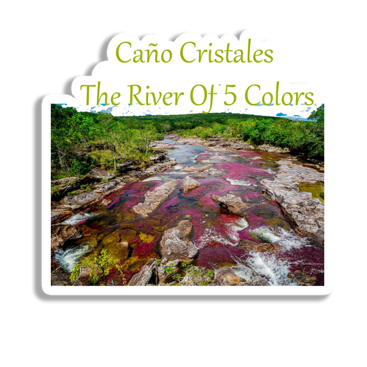 Cano Cristales Scenic  Souvenir  Fridge Magnet