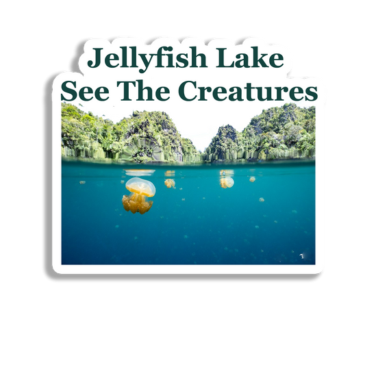 Jellyfish Lake Awesome Souvenir  Fridge Magnet