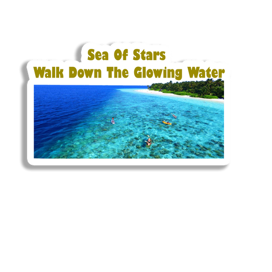 Sea of Star Souvenir Fridge Magnet