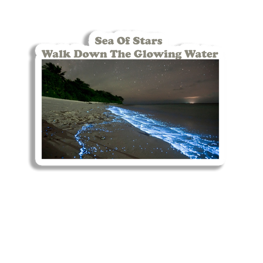 Sea of Star Elegant Souvenir Fridge Magnet