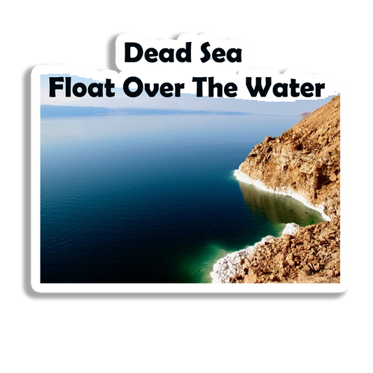 Dead Sea Elegant   Souvenir Fridge Magnet
