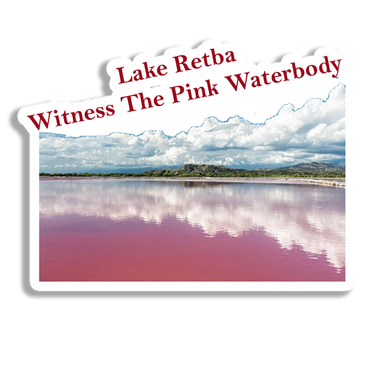 Lake Retba Souvenir Fridge Magnet