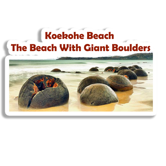 Koekohe Beach Souvenir Fridge Magnet
