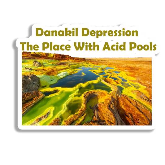 Danakil Depression  Souvenir Fridge Magnet