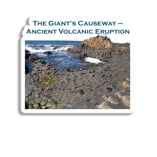 The Giant's Causeway  Souvenir Fridge Magnet